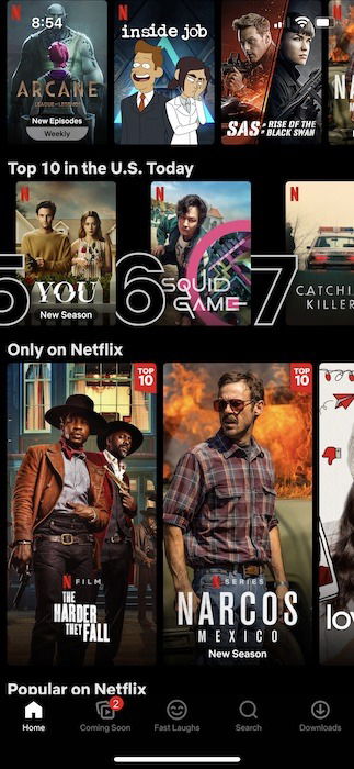 Download Netflix Content Offline Ios Squid