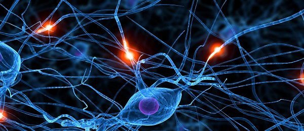 rede neural