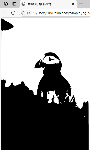 Converted Svg