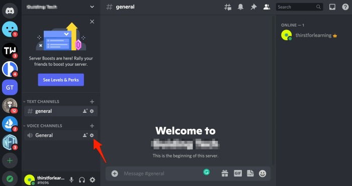 Paramètres du canal vocal Discord