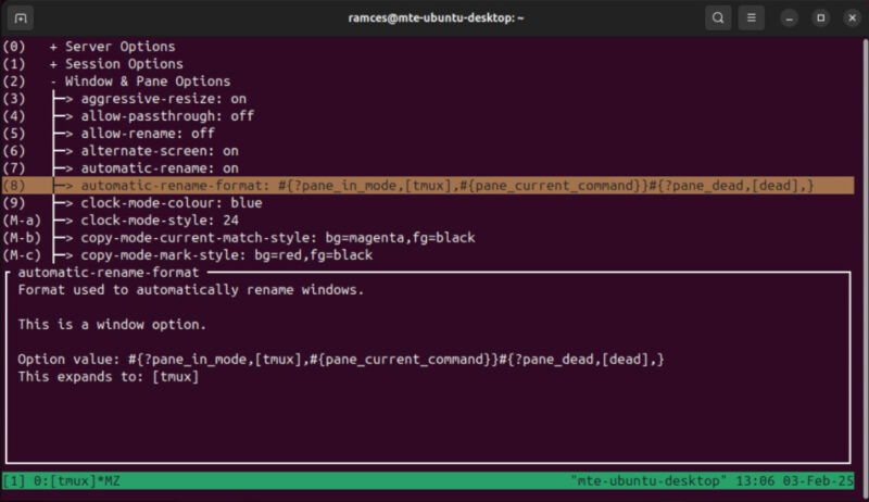 Un terminal montrant le menu de configuration personnalisé
