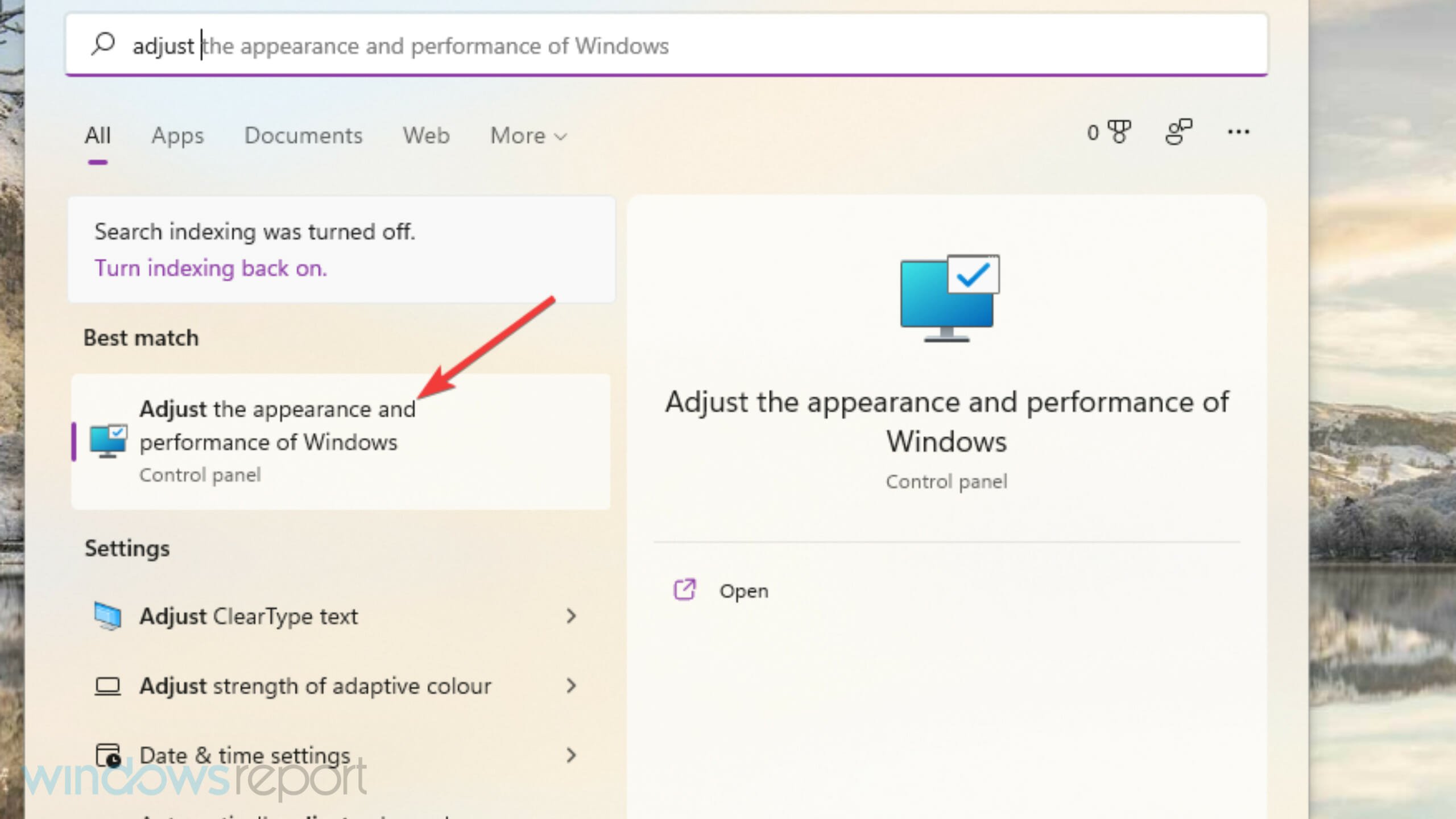 Windows의 모양 및 성능 조정 Windows 오류 보고서 이벤트 ID 1001