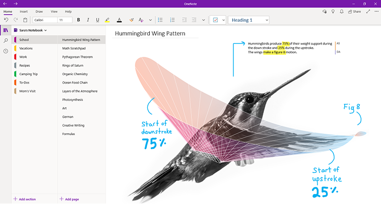 Onenote para Windows 10