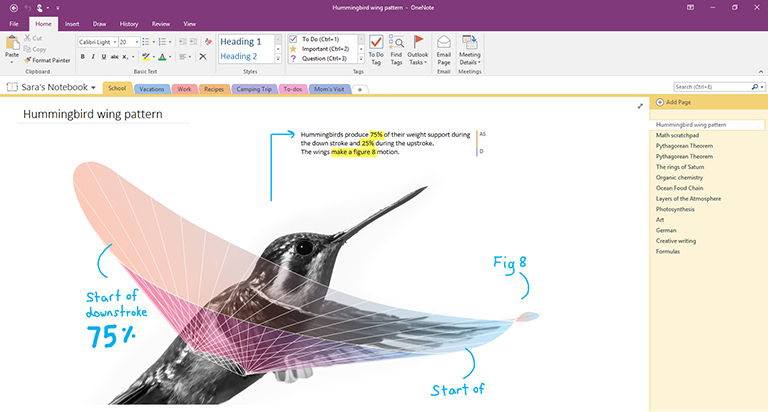 Aplicación de escritorio de Onenote