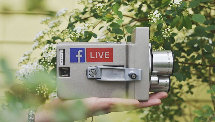 writers-opinion-social-media-violence-content