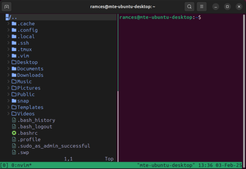 Un terminal montrant le plugin Treemux en action sur un panneau Tmux.