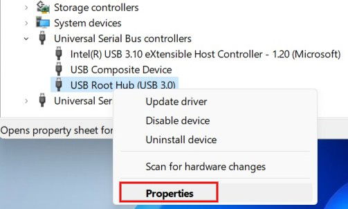 Selezionando Proprietà per il controller del bus seriale USB nel menu contestuale in Gestione dispositivi.