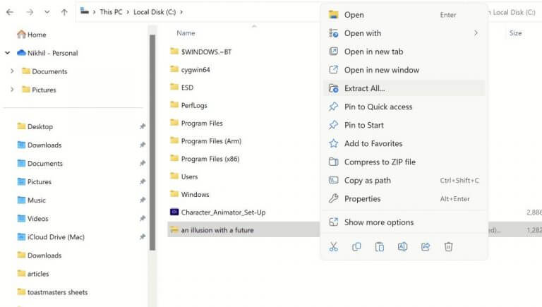 estrazione file su windows