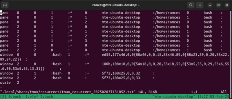 Un terminal montrant les détails d'une disposition Tmux.